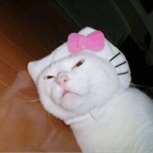 Meet your Posher, Riely